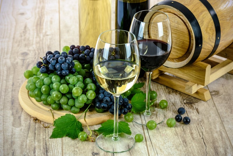 Wine Vineyard